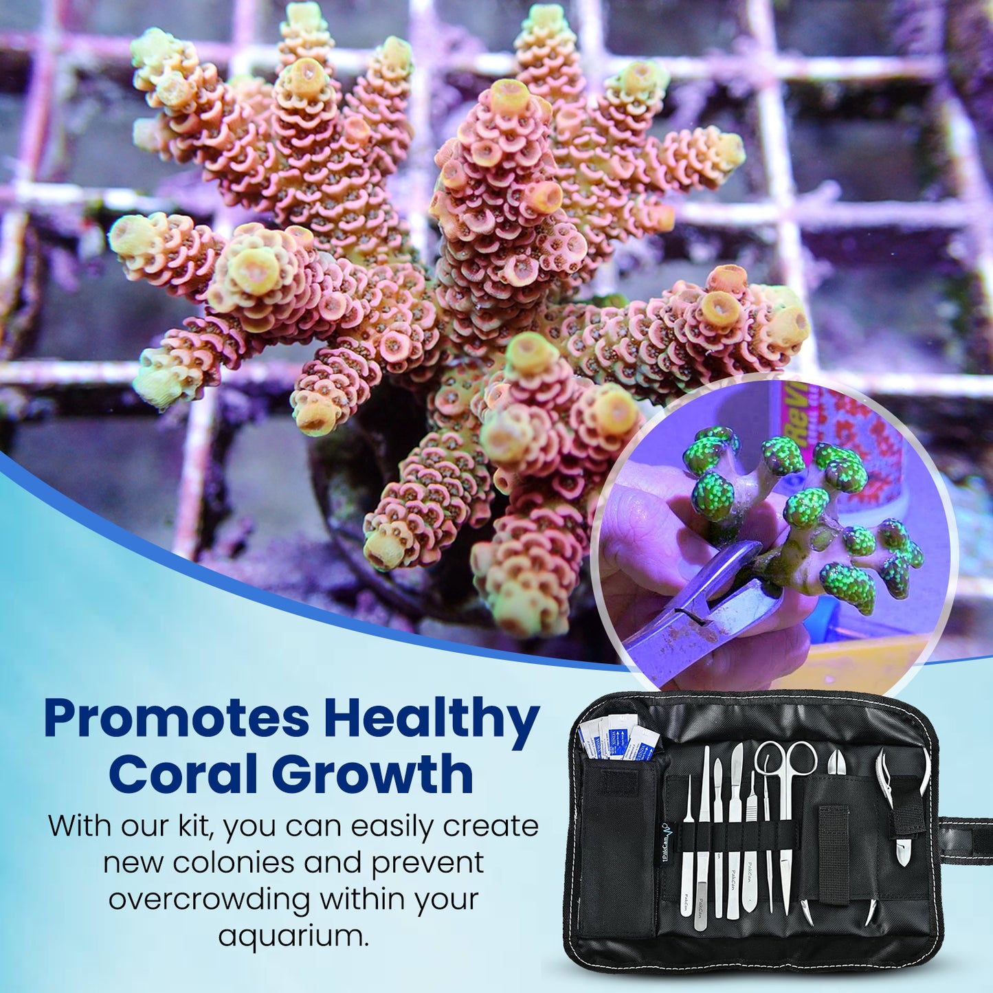 Premium Coral Fragging Kit - Complete Coral Propagation and Fragging Set